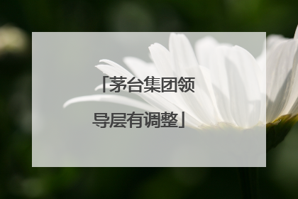 茅台集团领导层有调整